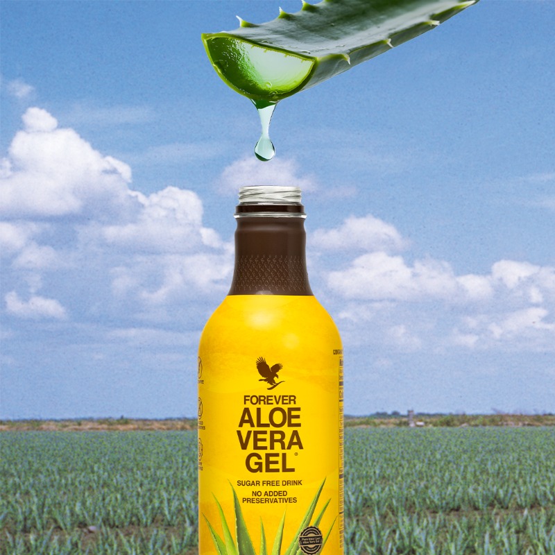 Aloe Vera Gel aloeveragel pet